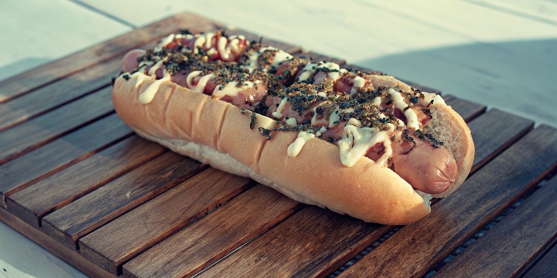 TERIMAYO FUSION HOT DOG